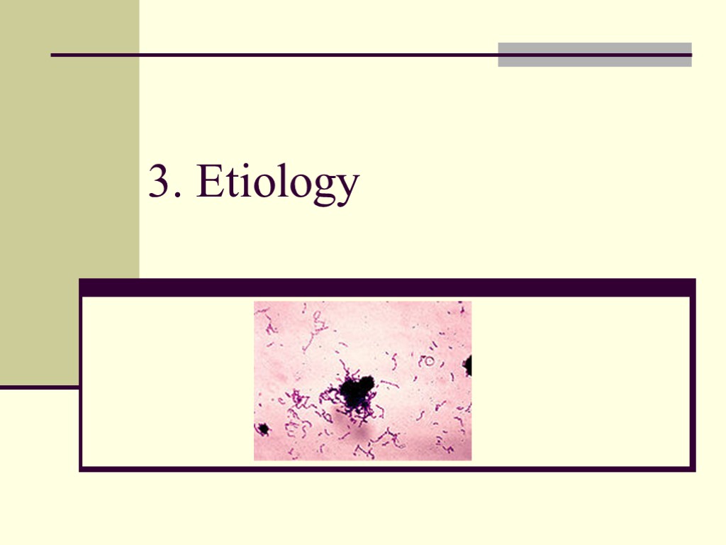 3. Etiology